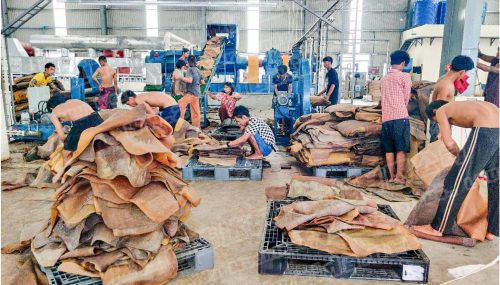 2024md (4)-水印 2024md (4)-水印